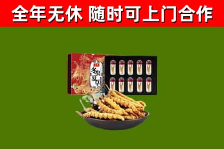 甘南回收冬虫夏草价格